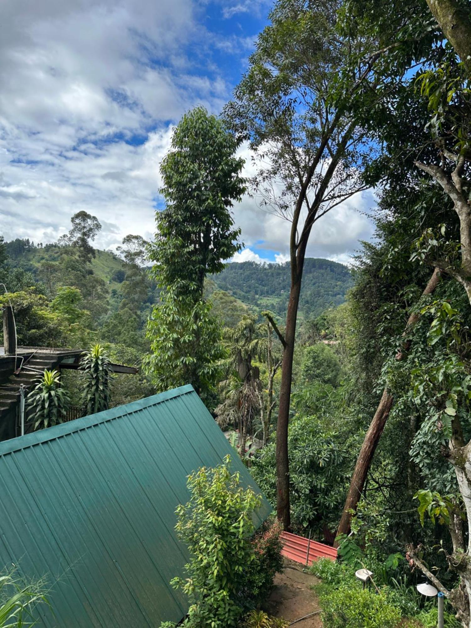 Fair View Cottage エッラ エクステリア 写真